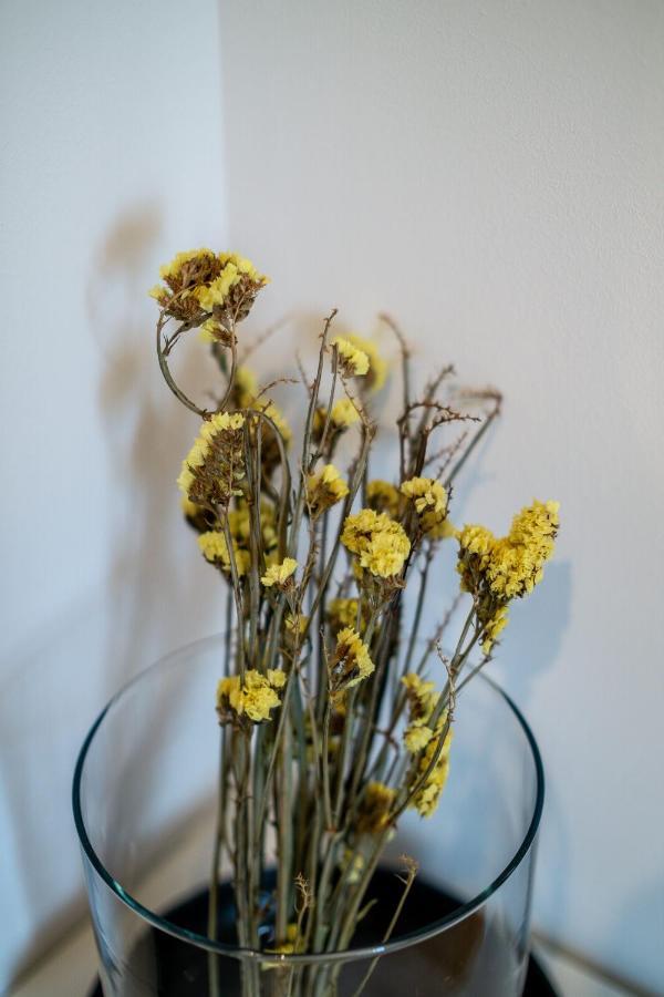 Im Hygge Skandinavisch Wohnen Mitten In 开姆尼茨 外观 照片