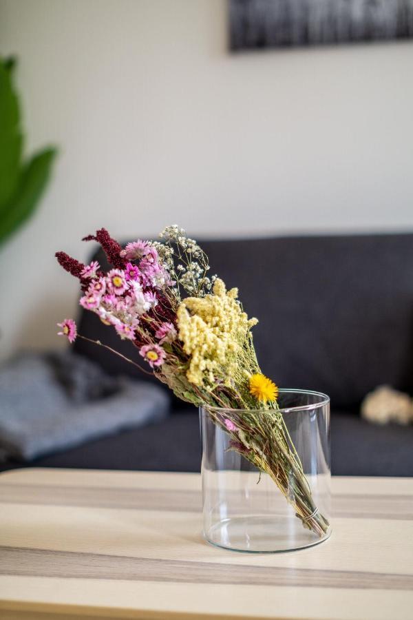 Im Hygge Skandinavisch Wohnen Mitten In 开姆尼茨 外观 照片